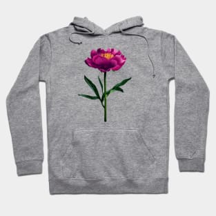 Peonies print Hoodie